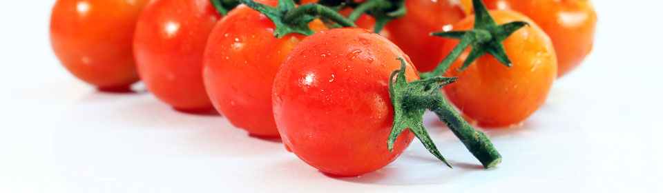 获取手机号验证码平台